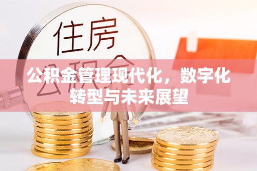 西丰公积金管理现代化，数字化转型与未来展望