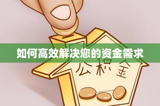西丰如何高效解决您的资金需求