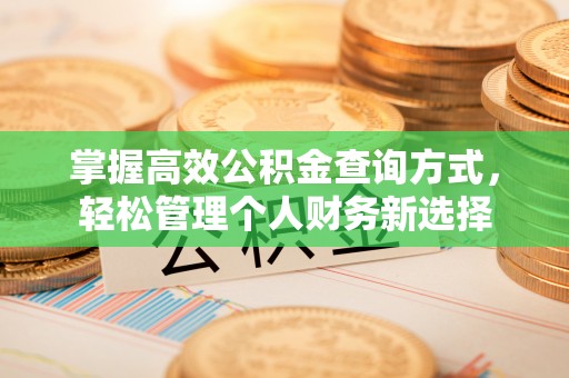西丰掌握高效公积金查询方式，轻松管理个人财务新选择